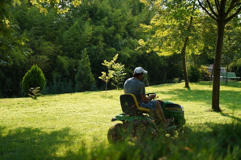 Lawn Mowing in Castle Hill, What to Expect From a Regular Service