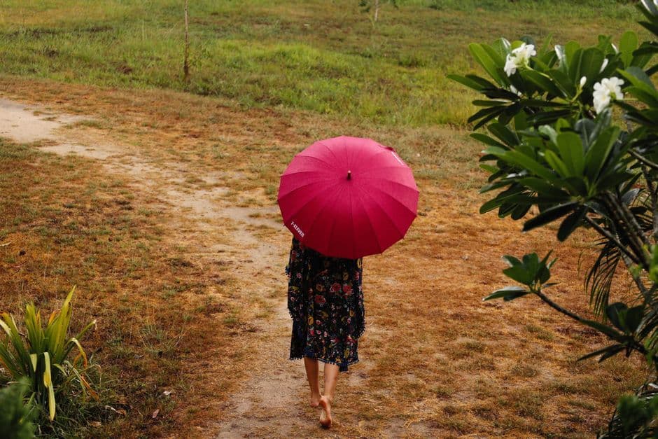How to Get Rid of Bindii Before Barefoot Season