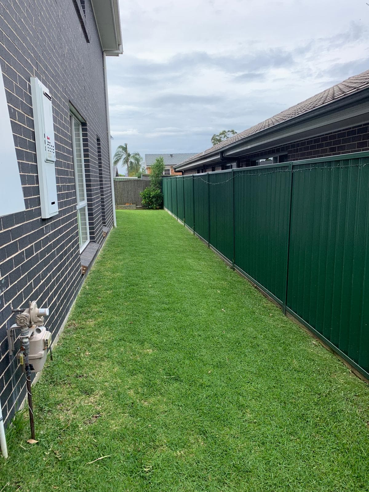 When to Trim Hedges in Australia: A Hills District Guide