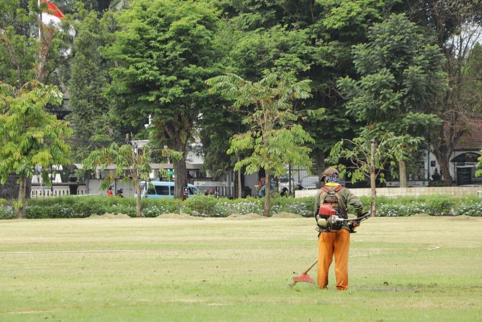 Lawn Mowing in Parramatta, Small Yards and Tight Access