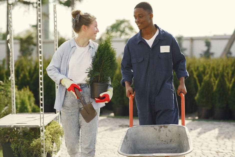 Gardening Services in Sydney: Who Does What, and What to Ask