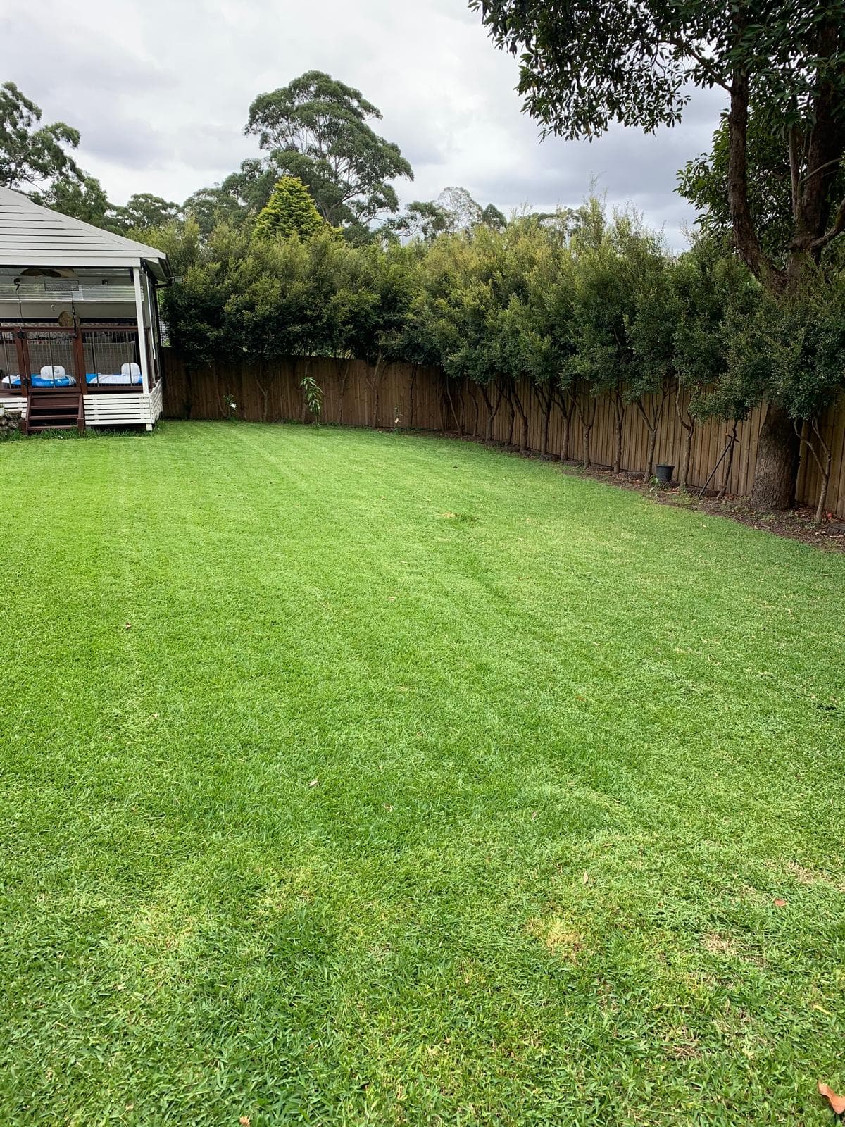 Garden Maintenance in the Hills District