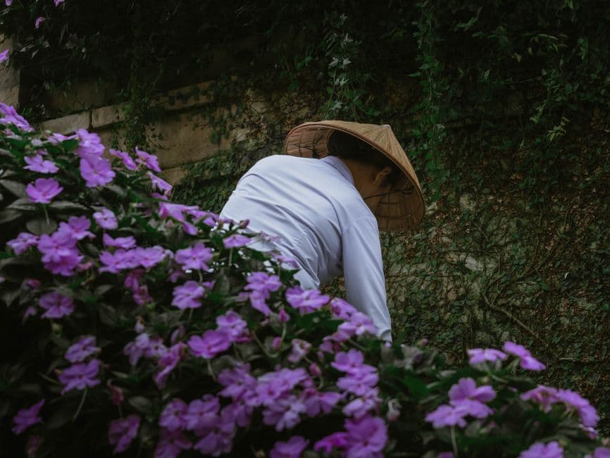 Regular Gardener or a One Off Tidy Up? How to Decide