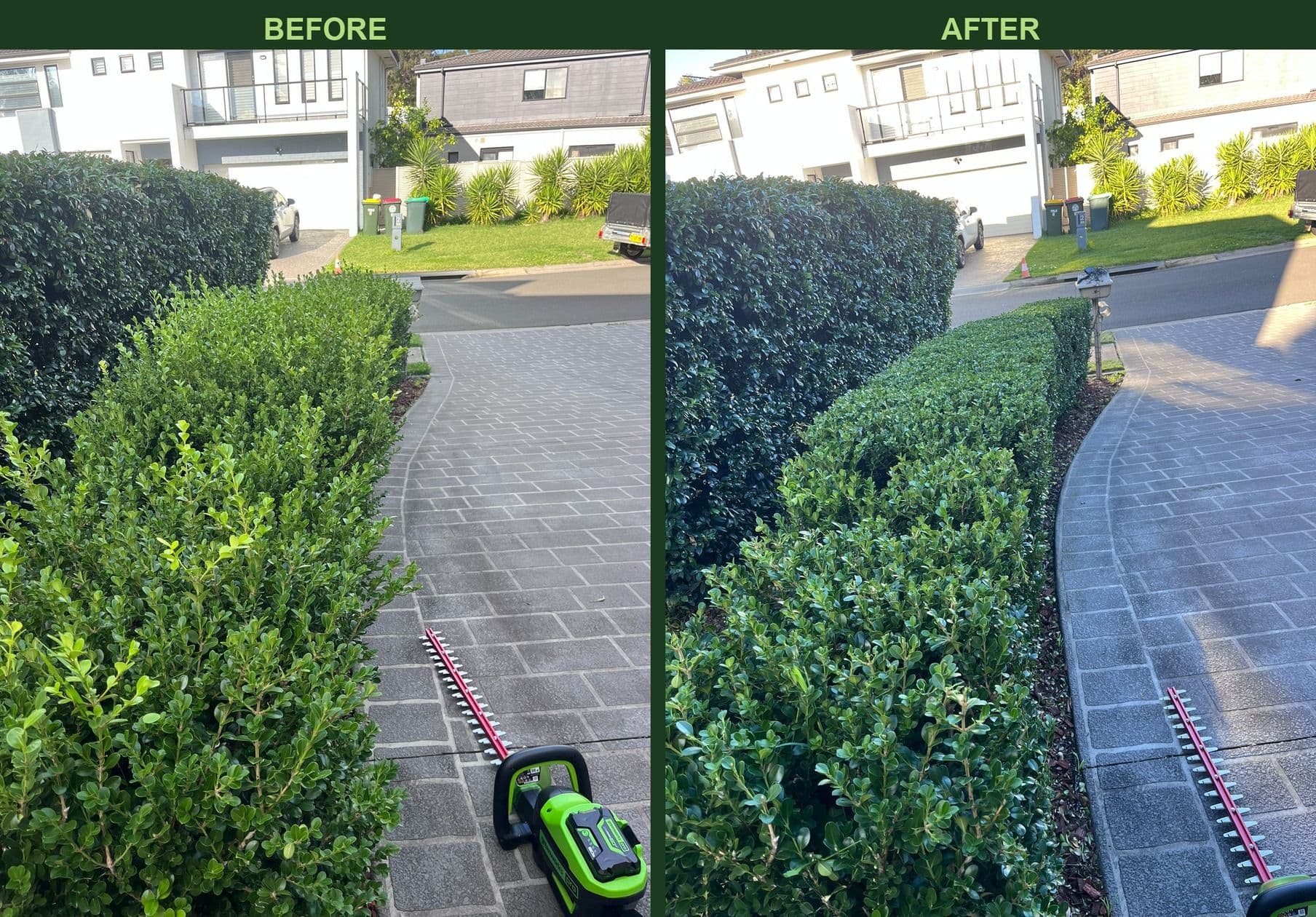 Hedge Trimming in Castle Hill