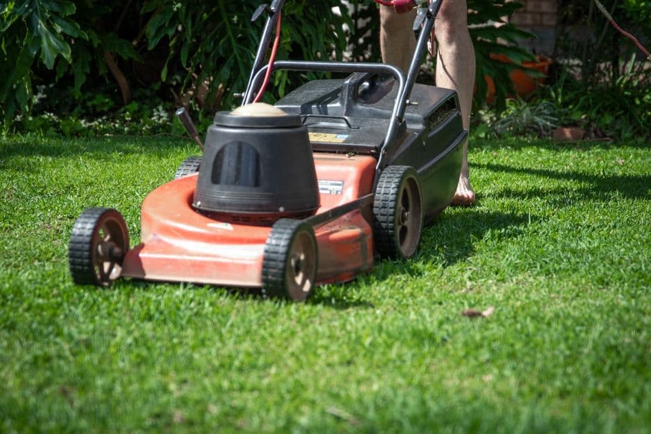 Can You Fertilise the Lawn After Mowing?