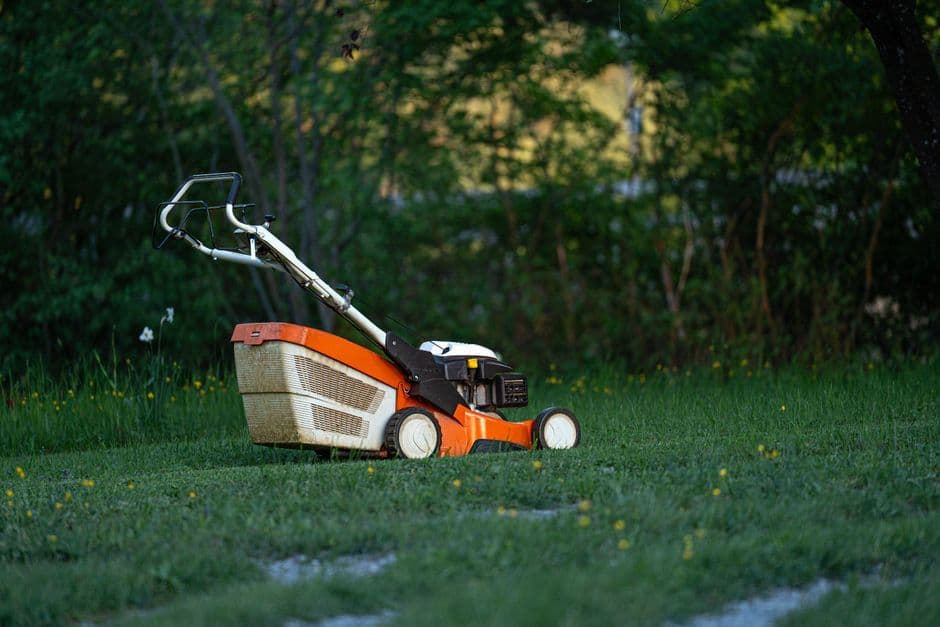 Should You Water the Lawn After Mowing?