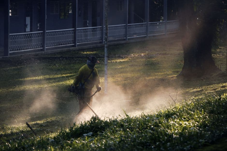 What Time Can I Mow My Lawn? (Hills District Guide)