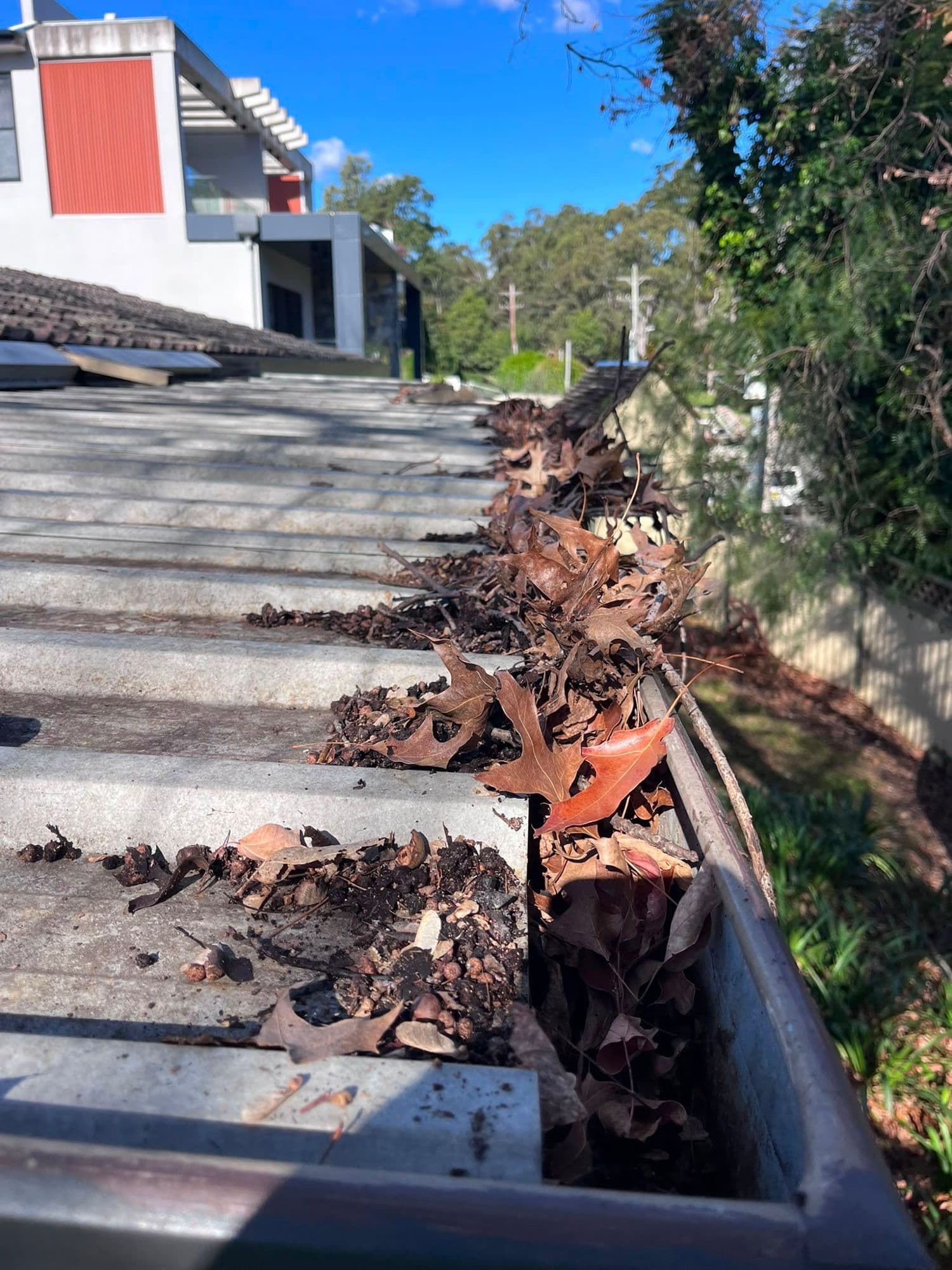 How Often Should You Clean Your Gutters?